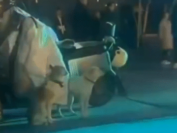 Captura de pantalla 2025 12 01 195502