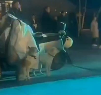 Captura de pantalla 2025 12 01 195502