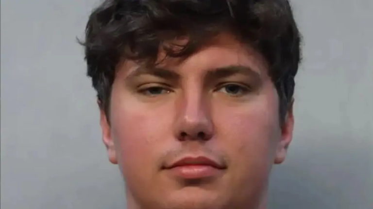 Detenido un hombre por celebrar la Navidad colándose desnudo en mansiones de Florida. 1 sdfsdfsdf 7