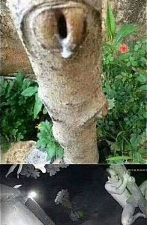 tumblr otivvugv5j1qzfebyo1 5001