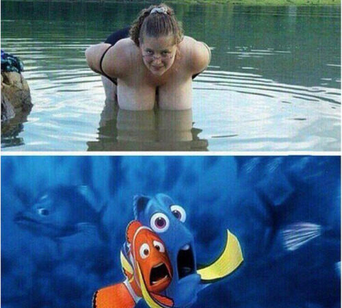 Asustando a Nemo.