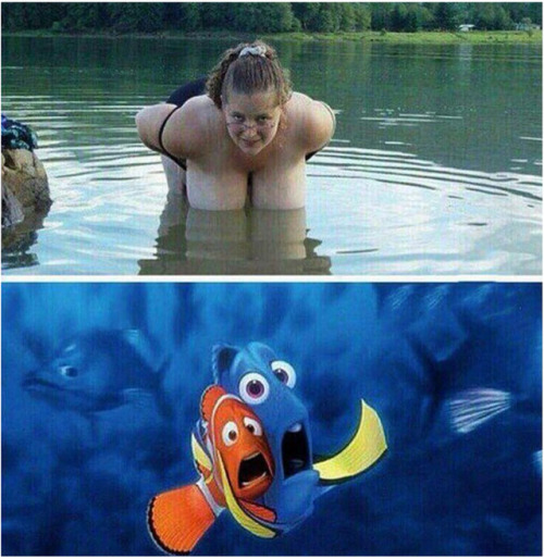 Asustando a Nemo. 5