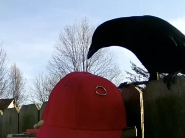 9908da83 0615 4a7a 8aff f26cf2b27bc5 16 9 discover aspect ratio default 01