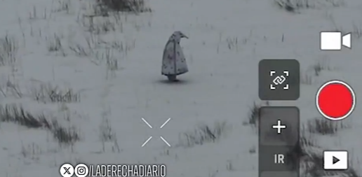 Captura de pantalla 2026 01 27 215556