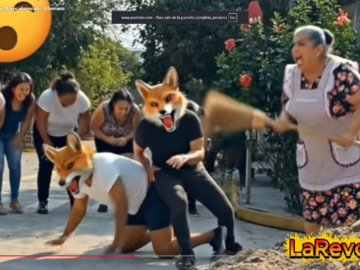 Captura de pantalla 2026 02 18 201253