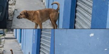 tumblr 8e3edb35a0b6ad4e868cae8f14577e0c 904cee5d 640