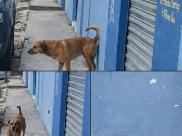 tumblr 8e3edb35a0b6ad4e868cae8f14577e0c 904cee5d 640