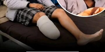 wergfqweaf 768x9321 1