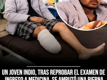 wergfqweaf 768x9321 1