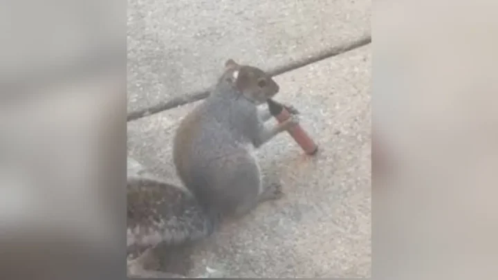 69c52ec1387440 898366221