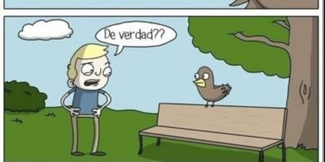 CC 2833121 b17a97c423f140ef97ecf13ec943b062 otros ojala poder volar como un pajaro