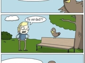 CC 2833121 b17a97c423f140ef97ecf13ec943b062 otros ojala poder volar como un pajaro