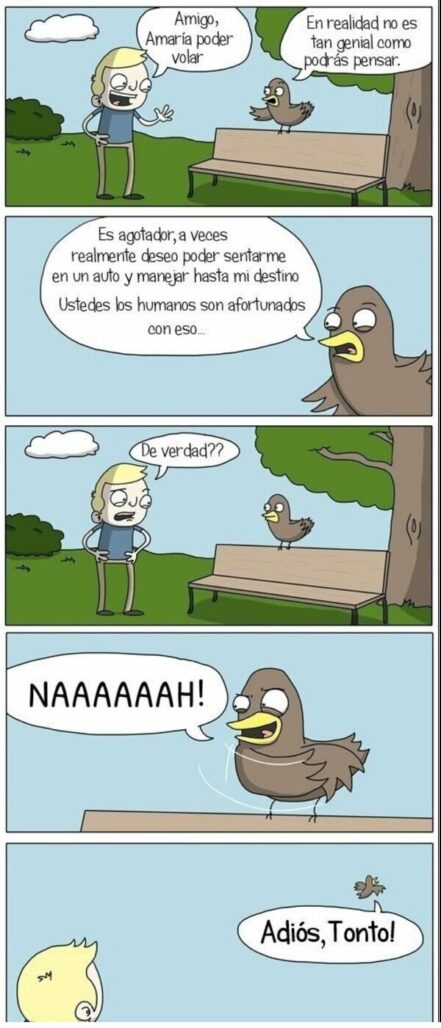 CC 2833121 b17a97c423f140ef97ecf13ec943b062 otros ojala poder volar como un pajaro