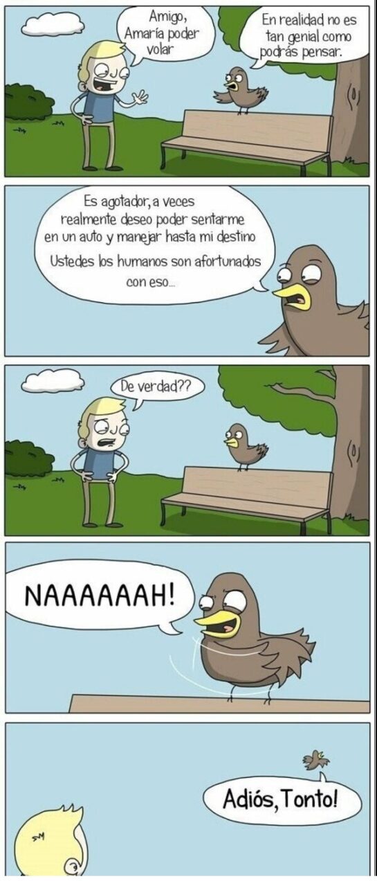 Adiós, tonto! 1 CC 2833121 b17a97c423f140ef97ecf13ec943b062 otros ojala poder volar como un pajaro