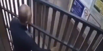 Captura de pantalla 2026 03 01 015933