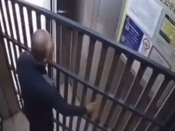 Captura de pantalla 2026 03 01 015933