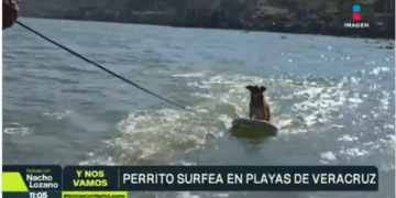 Captura de pantalla 2026 03 04 023422