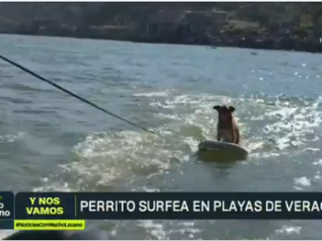 Captura de pantalla 2026 03 04 023422