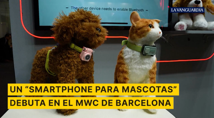 Inventaron un pinchi smartphone para mascotas.. 4 Captura de pantalla 2026 03 13 212927