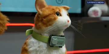 Captura de pantalla 2026 03 13 213004