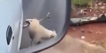 Captura de pantalla 2026 03 15 200531