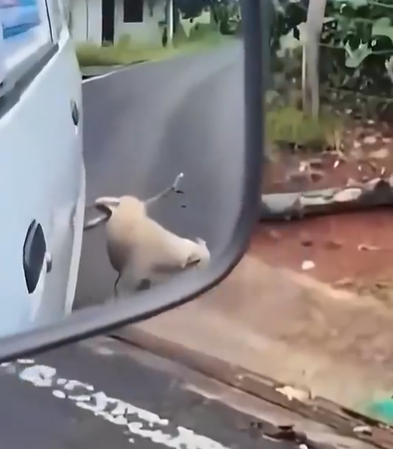 Captura de pantalla 2026 03 15 200531