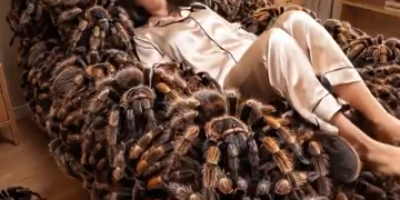 Captura de pantalla 2026 03 17 204515