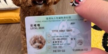 HCezeBdXcAAlX6i 768x9571 1