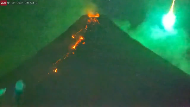 videoframe 14293