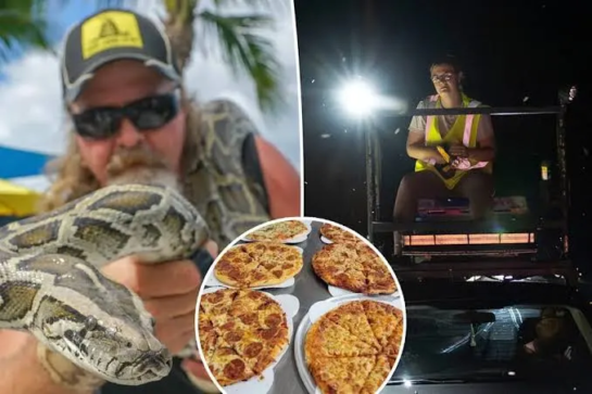 Pizzería de Florida ofrece porciones gratis a cambio de pitones muertas para combatir una plaga invasora 1 sdfsdf 1